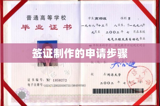 馆陶签证制作的申请步骤